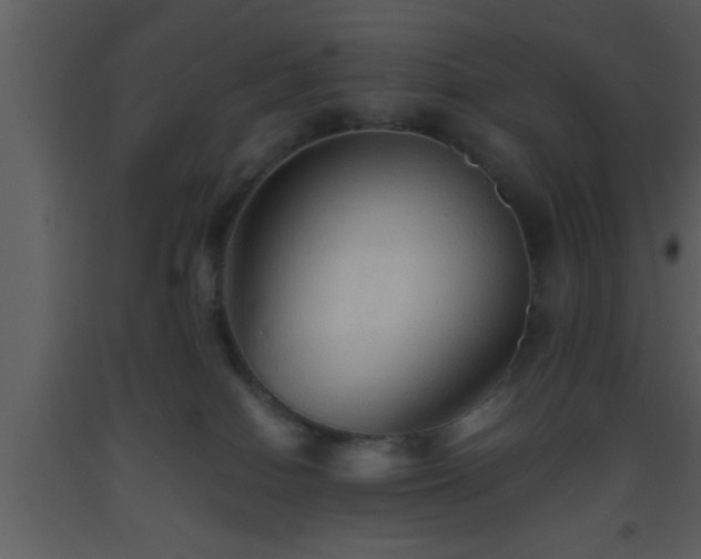 X0000093510086200710191320