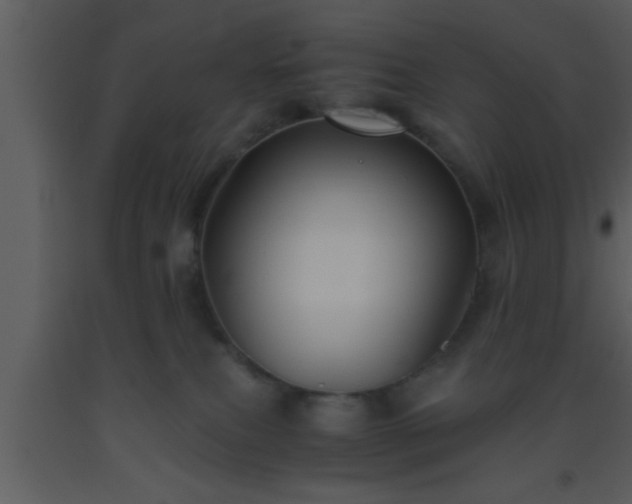 X0000093510087200710191320
