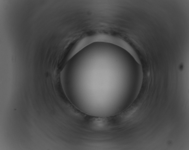 X0000093510088200710191320