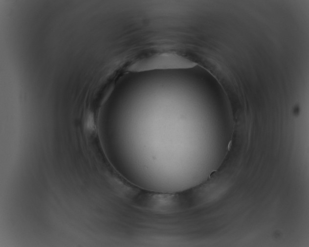 X0000093510089200710191320