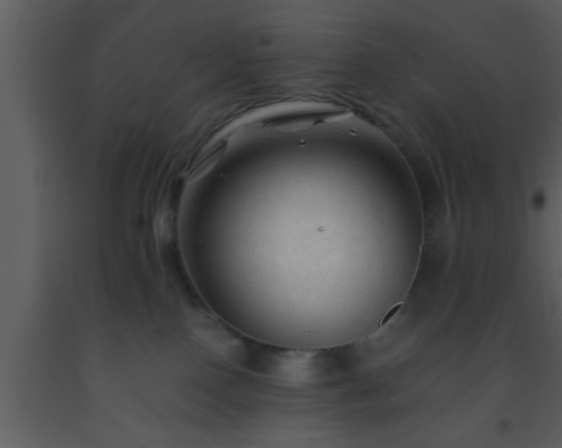 X0000093510090200710191320