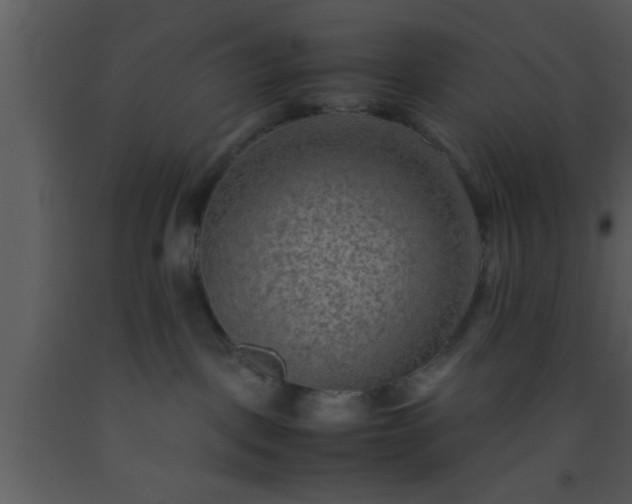 X0000093510093200710191320