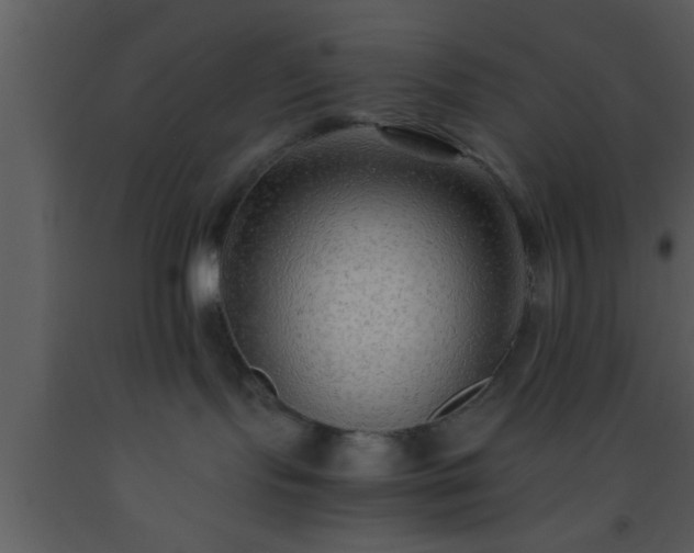 X0000093510095200710191320