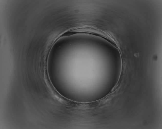 X0000093510097200710191319