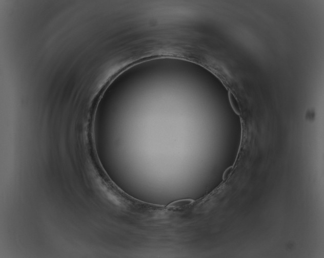 X0000093510098200710191319