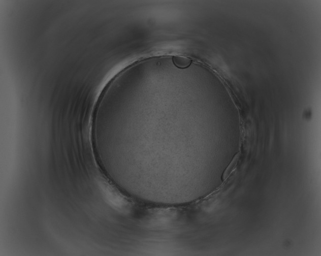 X0000093510100200710191319