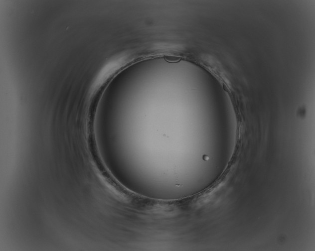 X0000093510101200710191319