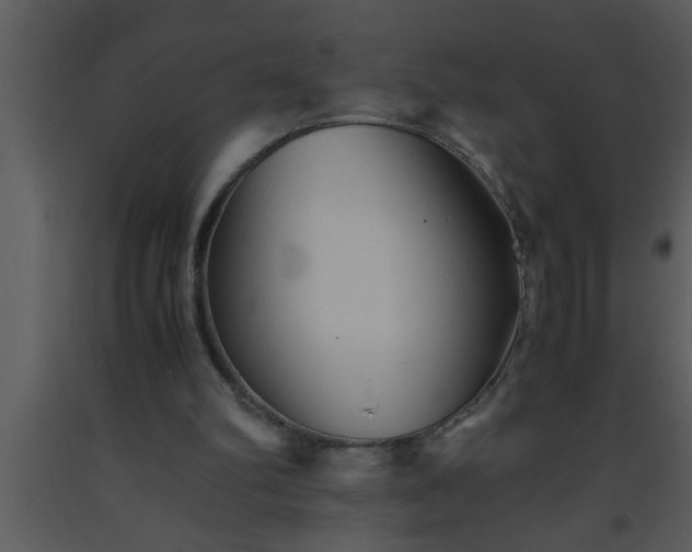 X0000093510102200710191319