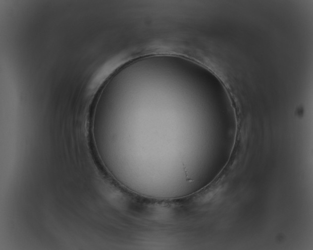 X0000093510103200710191319