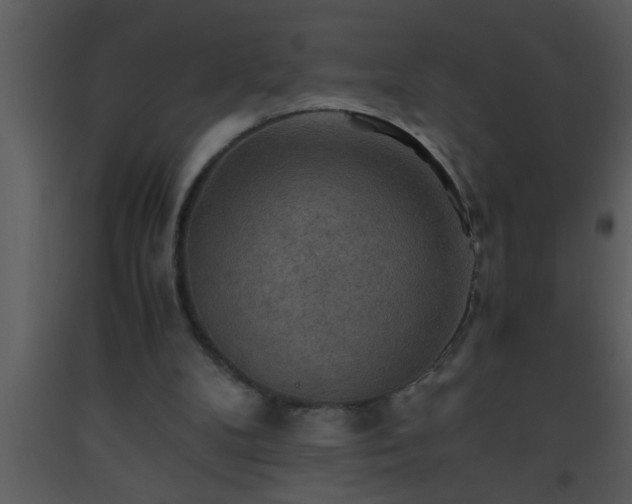 X0000093510104200710191319