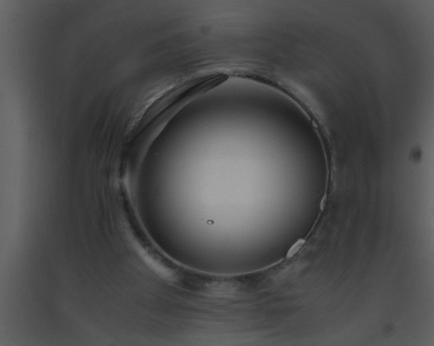 X0000093510105200710191319