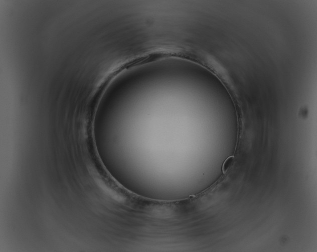 X0000093510106200710191319