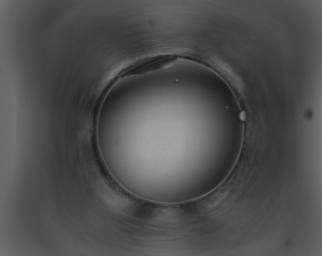 X0000093510107200710191319