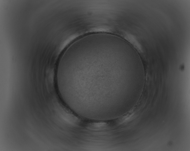 X0000093510108200710191319