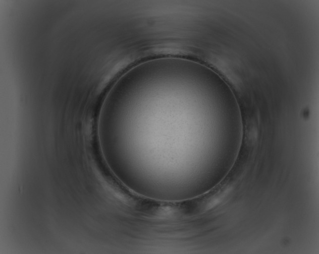 X0000093510111200710191319