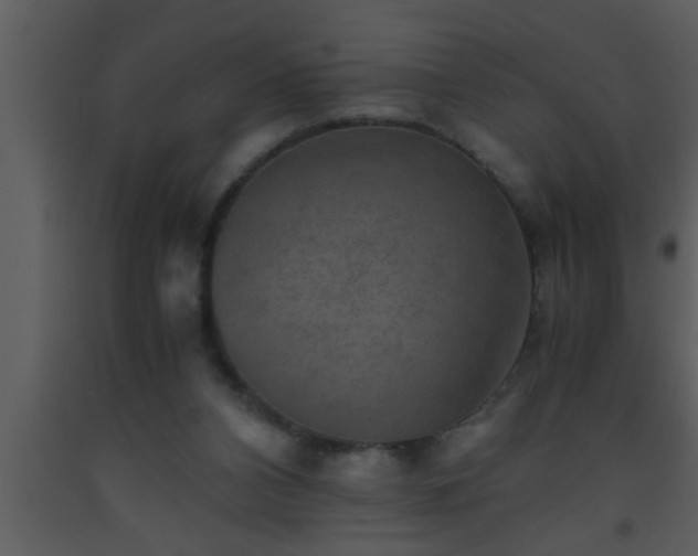 X0000093510112200710191319