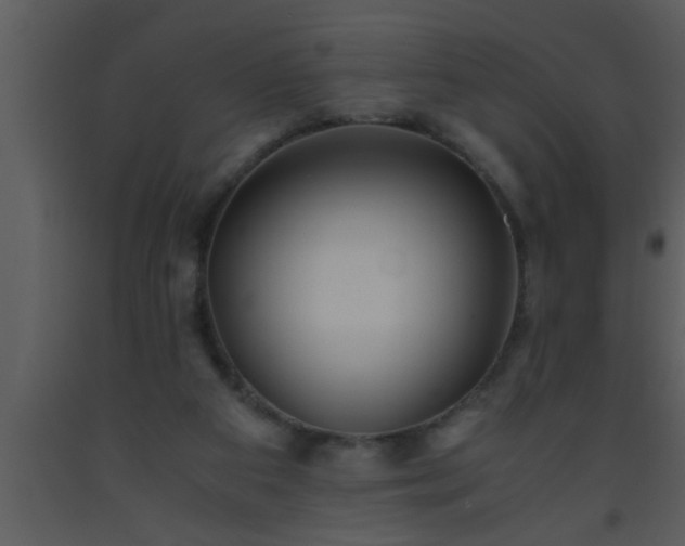 X0000093510113200710191319