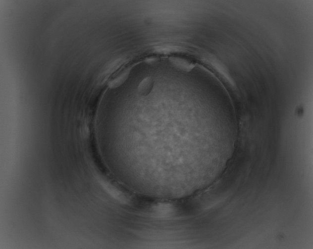 X0000093510114200710191319