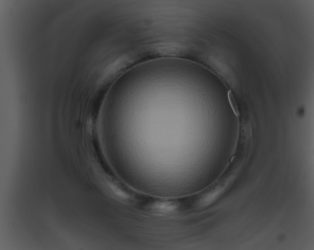X0000093510117200710191319