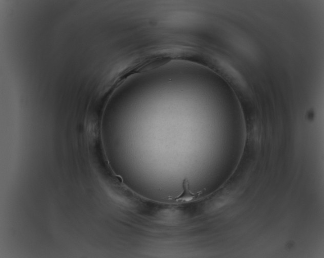 X0000093510119200710191319