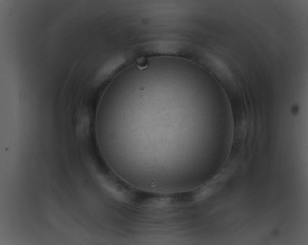 X0000093510120200710191319
