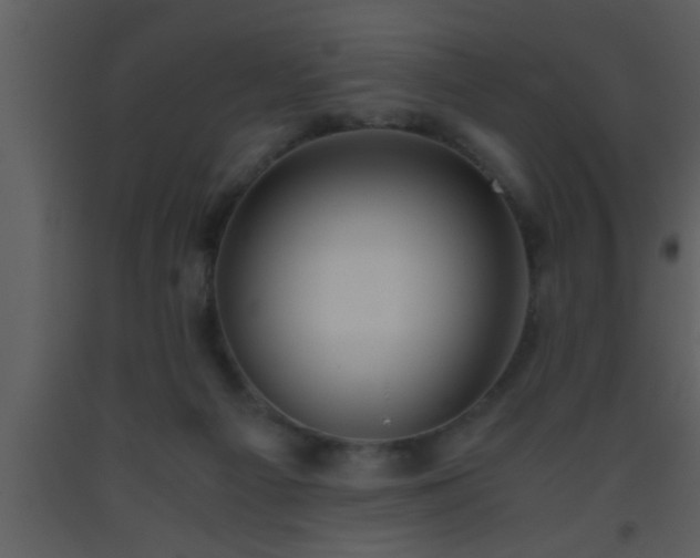 X0000093510121200710191319