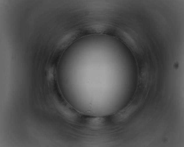 X0000093510122200710191319