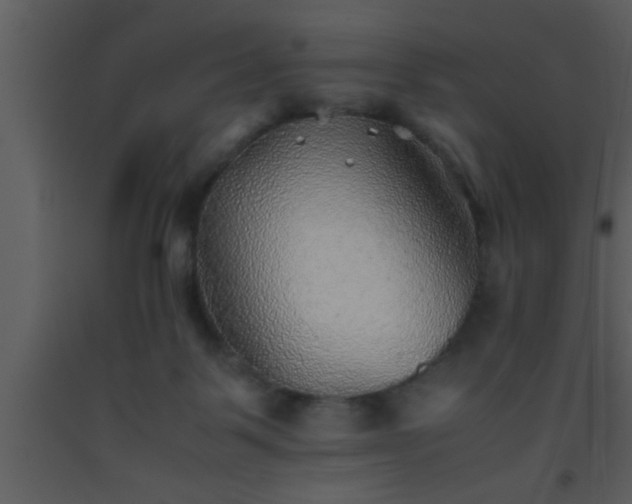 X0000093510123200710191319