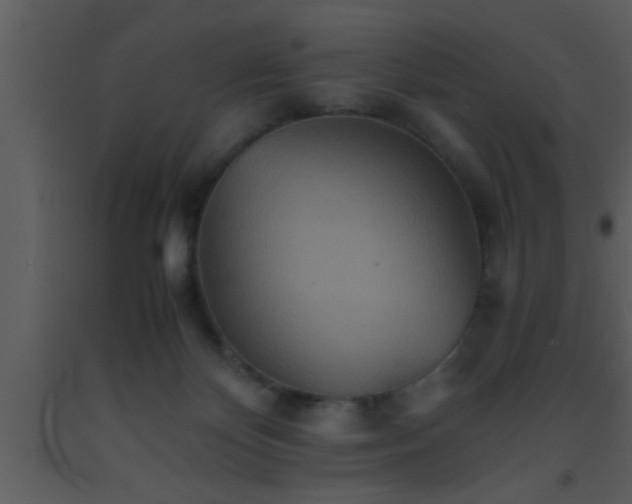 X0000093510124200710191319