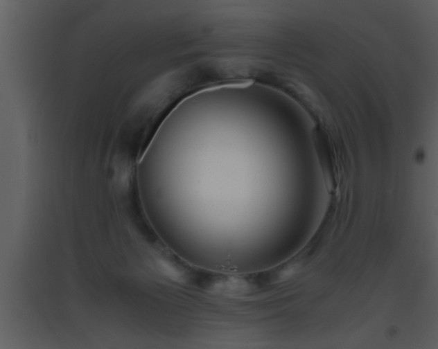 X0000093510125200710191319