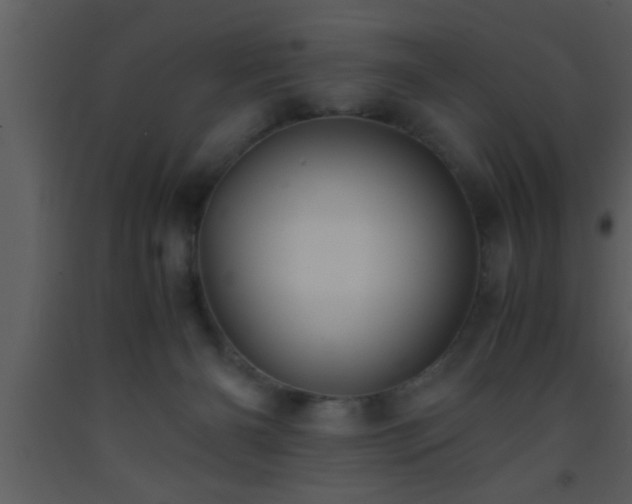 X0000093510126200710191319