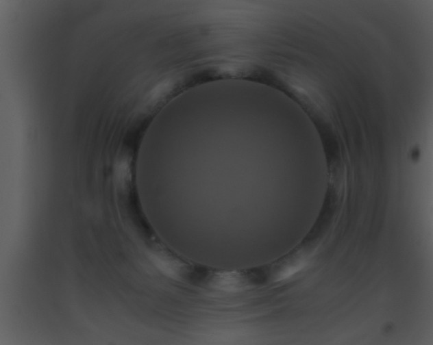 X0000093510127200710191319