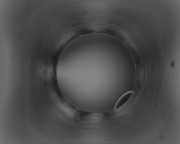 X0000093510128200710191319