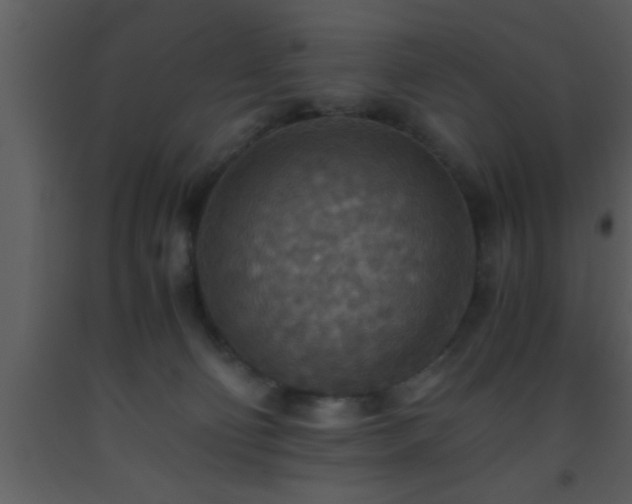 X0000093510130200710191319