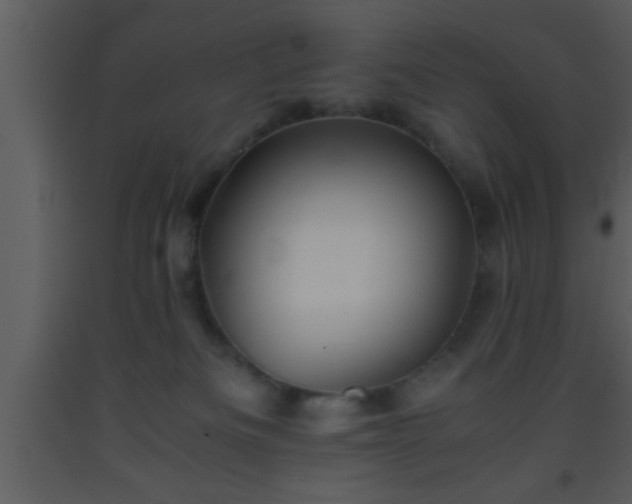 X0000093510133200710191319