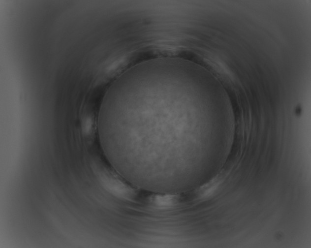 X0000093510134200710191319