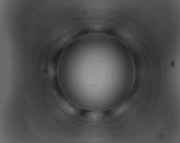 X0000093510135200710191319