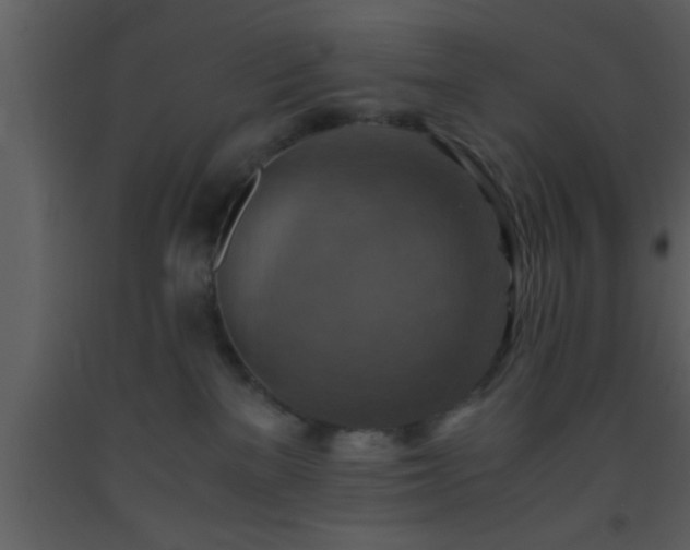 X0000093510137200710191319