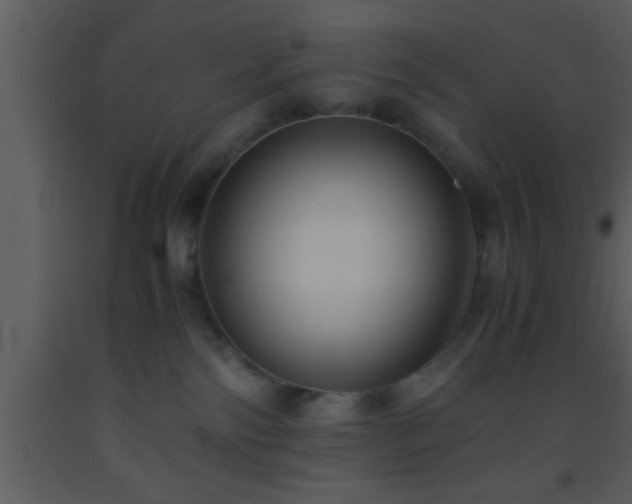 X0000093510138200710191319