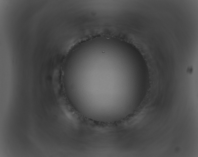 X0000093510144200710191319