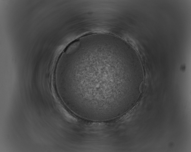 X0000093510145200710191318