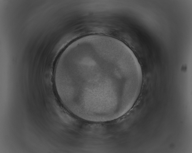 X0000093510146200710191318