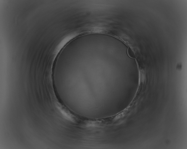 X0000093510147200710191318