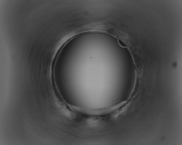X0000093510148200710191318