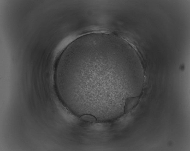 X0000093510149200710191318