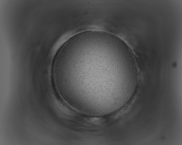 X0000093510151200710191318
