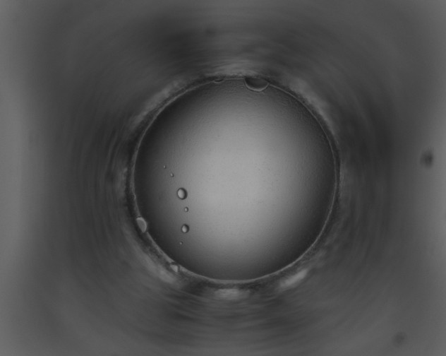 X0000093510153200710191318