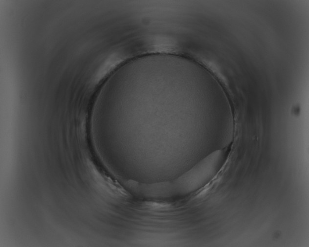 X0000093510154200710191318