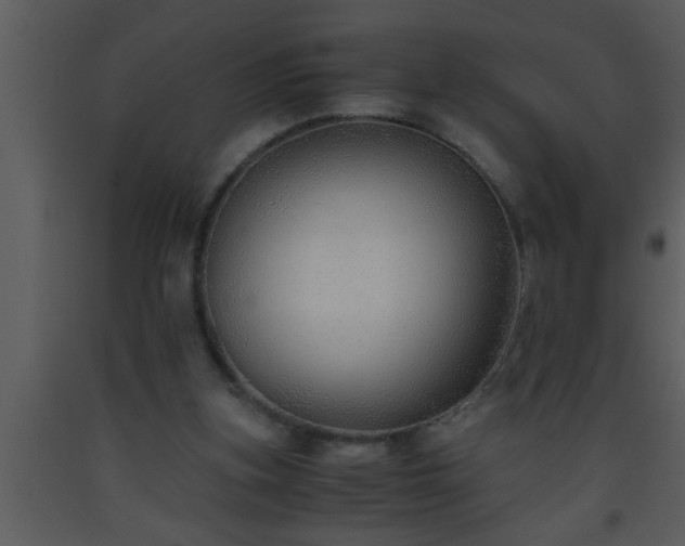 X0000093510155200710191318