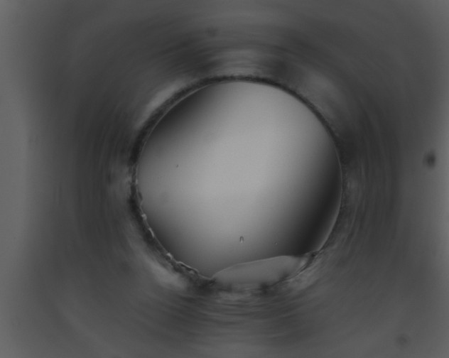 X0000093510160200710191318